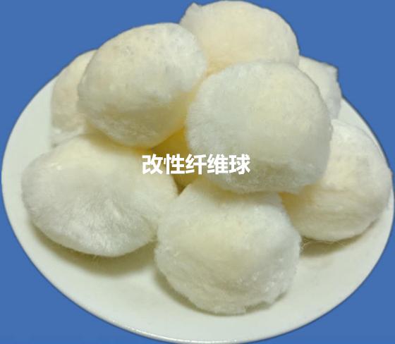 �����w�S��V��